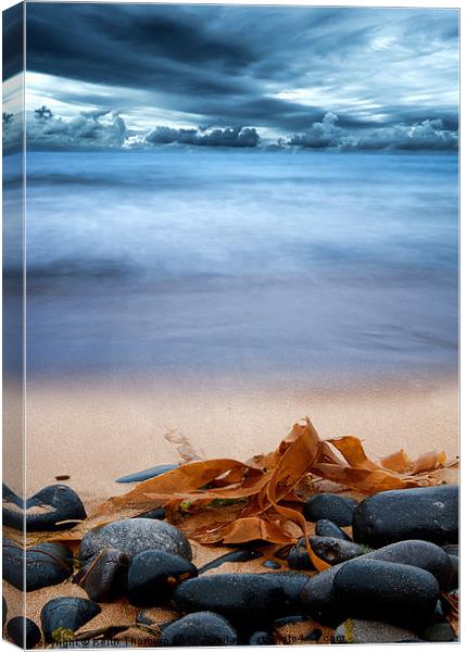 Beach and Stones Canvas Print by Keith Thorburn EFIAP/b