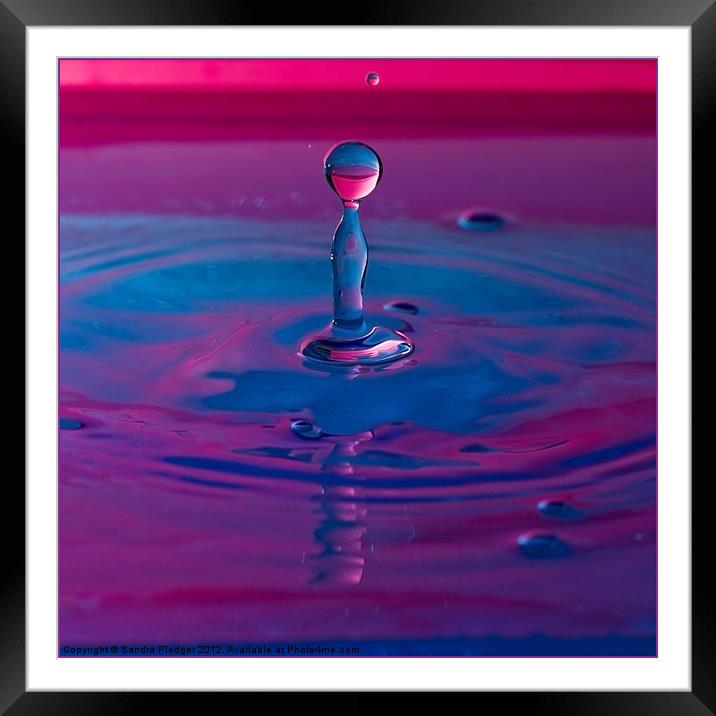 Water Drop Framed Mounted Print by Sandra Pledger
