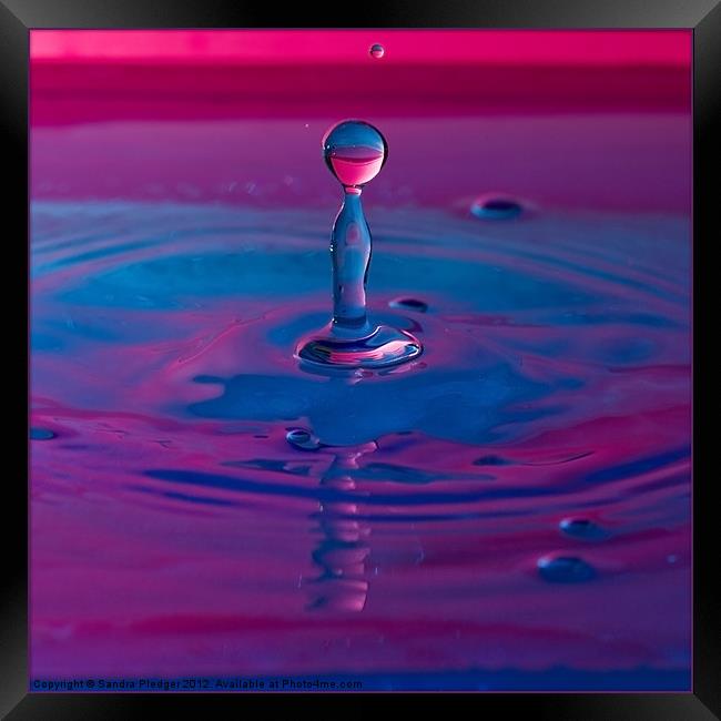 Water Drop Framed Print by Sandra Pledger