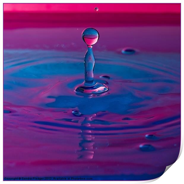 Water Drop Print by Sandra Pledger