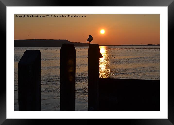 sun setting over the quay Framed Mounted Print by mike wingrove