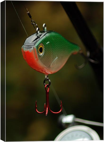 Pike Fishing Lure 1 Canvas Print by Paul Holman Photography
