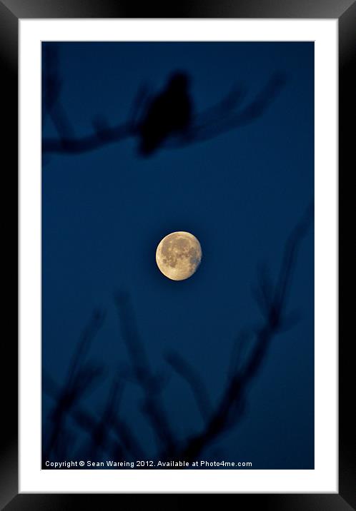 Sleepy Moon Framed Mounted Print by Sean Wareing