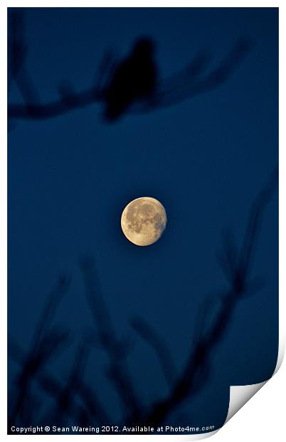 Sleepy Moon Print by Sean Wareing