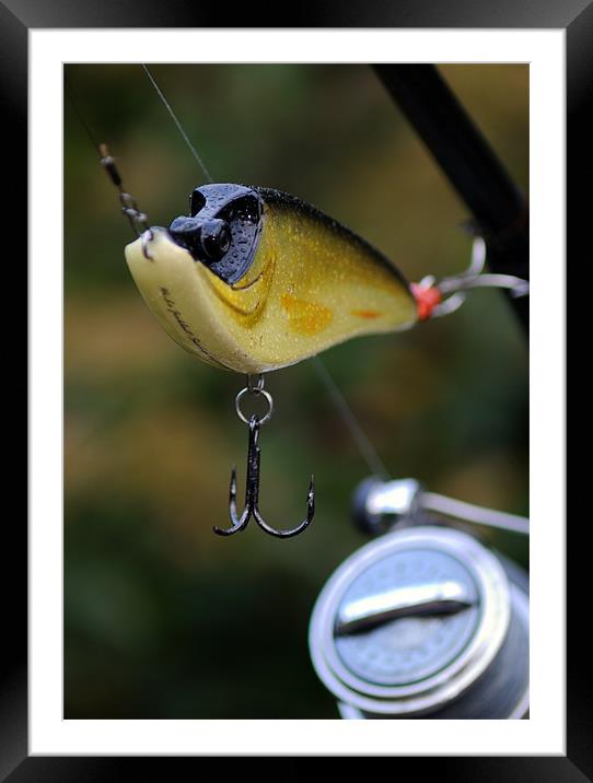 Fishing Lure 2 Framed Mounted Print by Paul Holman Photography