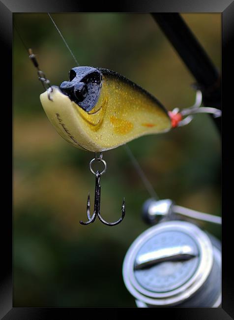 Fishing Lure 2 Framed Print by Paul Holman Photography