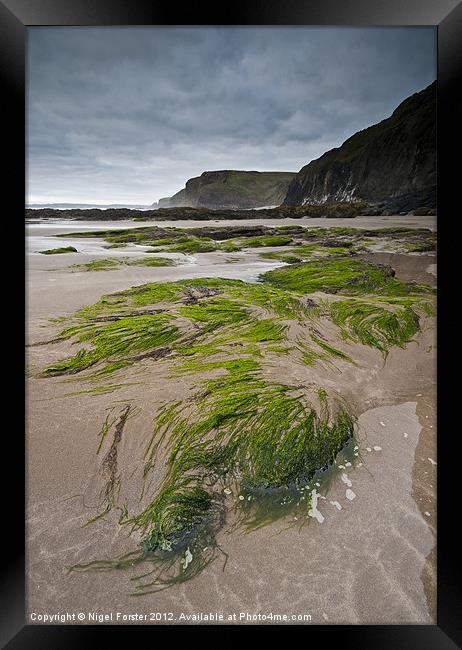 Druidston Seaweed Framed Print by Creative Photography Wales