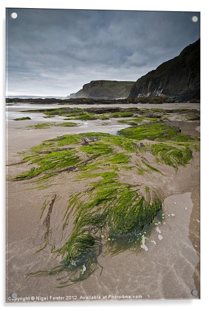 Druidston Seaweed Acrylic by Creative Photography Wales