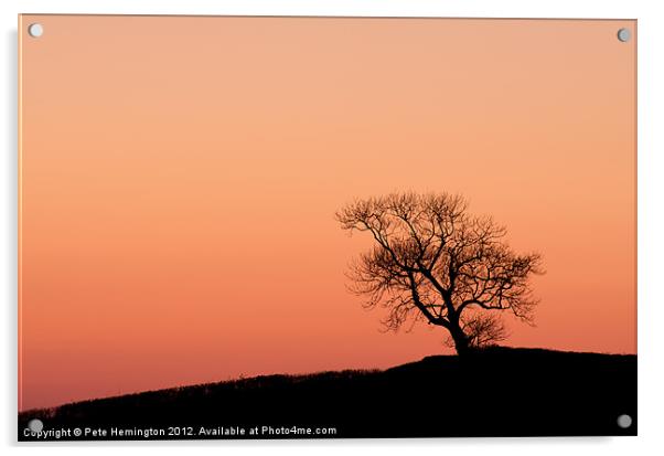 Lone tree on a hill top Acrylic by Pete Hemington