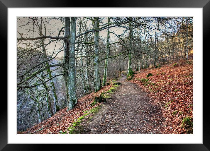 The Birks O' Aberfeldy Framed Mounted Print by Tom Gomez