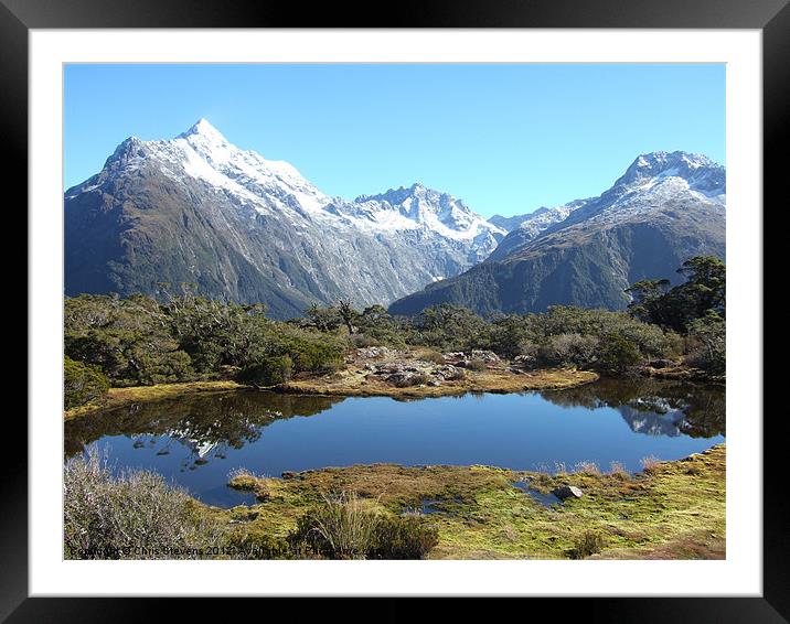 En-Route to Milford Sound National Park Framed Mounted Print by Chris Stevens