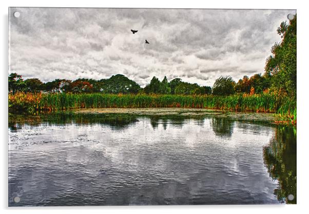 The Pond Acrylic by John Ellis