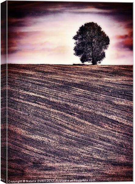 Ploughed & Ready Canvas Print by Natalie Durell