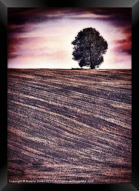 Ploughed & Ready Framed Print by Natalie Durell