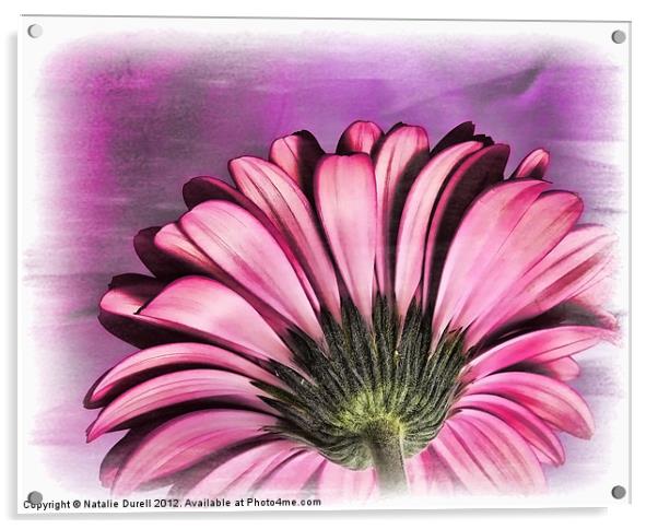 Simply Pink Acrylic by Natalie Durell
