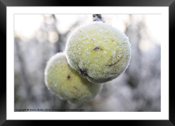 frosty apples Framed Mounted Print by Grace Butler