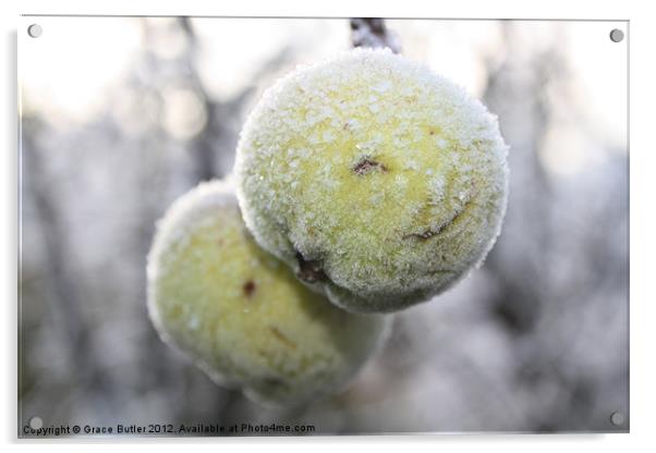 frosty apples Acrylic by Grace Butler