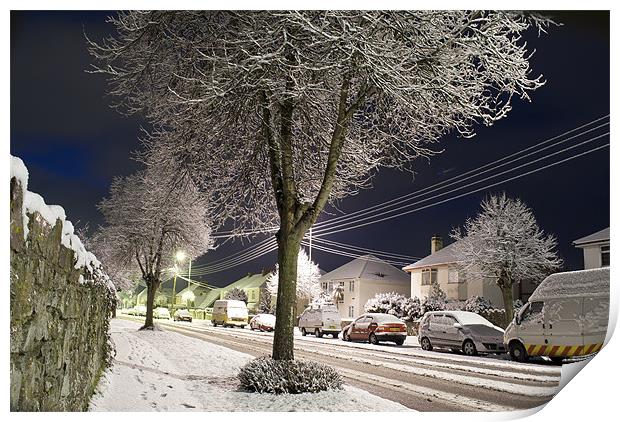 Snow Trees Print by Dave Wilkinson North Devon Ph