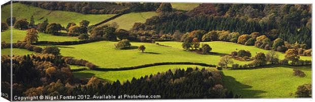 Builth autumn landscape Canvas Print by Creative Photography Wales