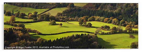Builth autumn landscape Acrylic by Creative Photography Wales