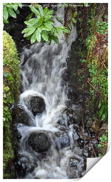 Waterfall Print by William Linton