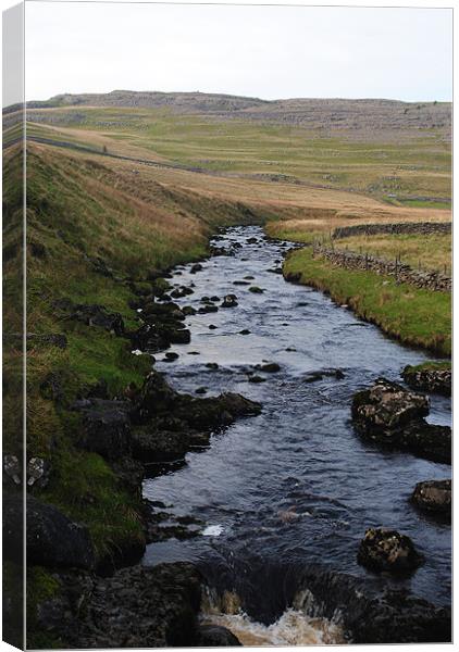 Stream and Scree Slopes Canvas Print by Thomas Thorley