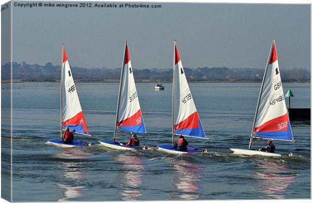 Four lazers dinghy's Canvas Print by mike wingrove