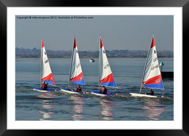 Four lazers dinghy's Framed Mounted Print by mike wingrove