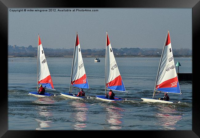 Four lazers dinghy's Framed Print by mike wingrove