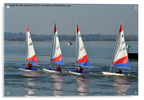 Four lazers dinghy's Acrylic by mike wingrove