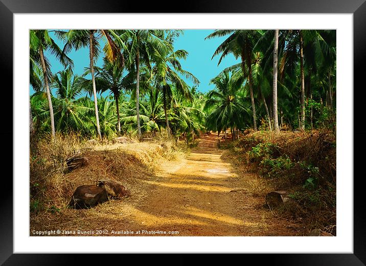 Path through a coconut grove Framed Mounted Print by Jasna Buncic