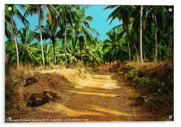 Path through a coconut grove Acrylic by Jasna Buncic