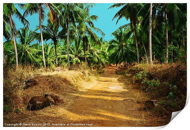 Path through a coconut grove Print by Jasna Buncic