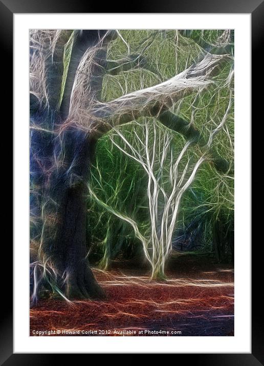 Mystic forest Framed Mounted Print by Howard Corlett