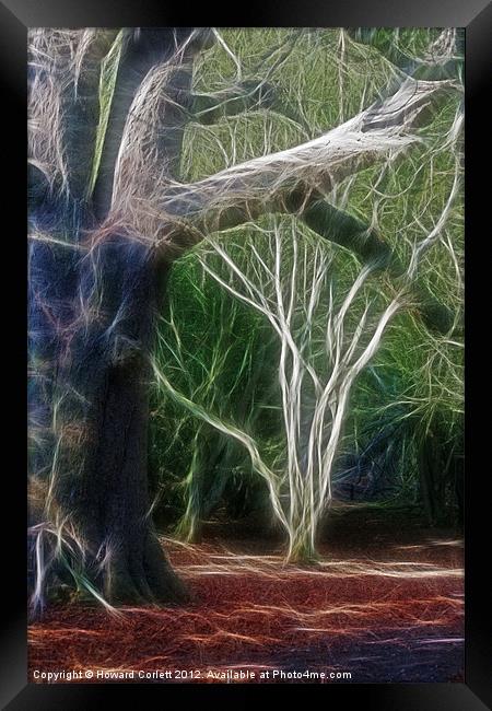 Mystic forest Framed Print by Howard Corlett