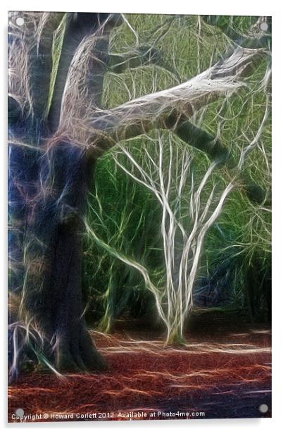 Mystic forest Acrylic by Howard Corlett
