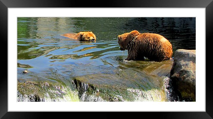 Cooling down Framed Mounted Print by barbara walsh