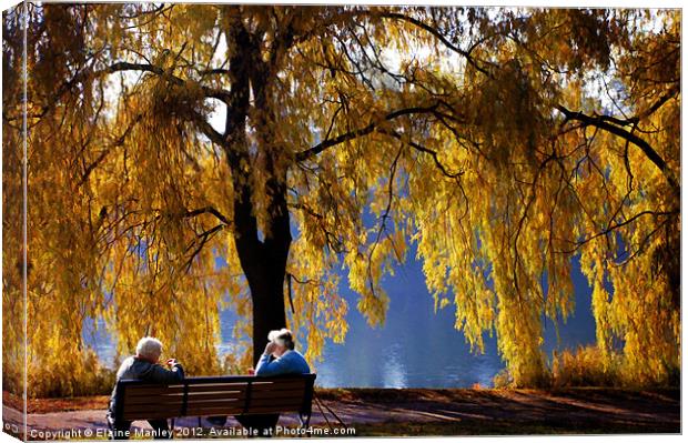 Golden Moments Canvas Print by Elaine Manley