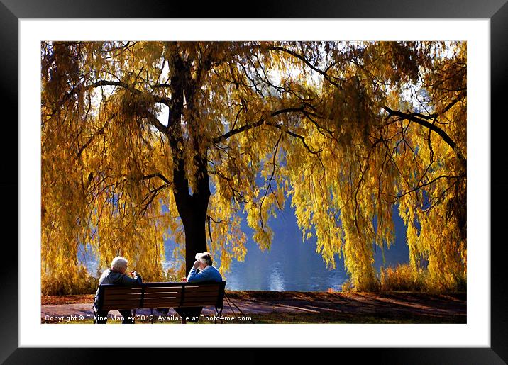 Golden Moments Framed Mounted Print by Elaine Manley