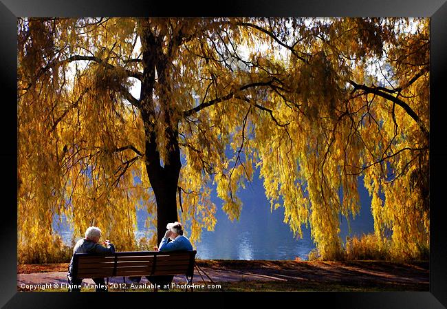 Golden Moments Framed Print by Elaine Manley