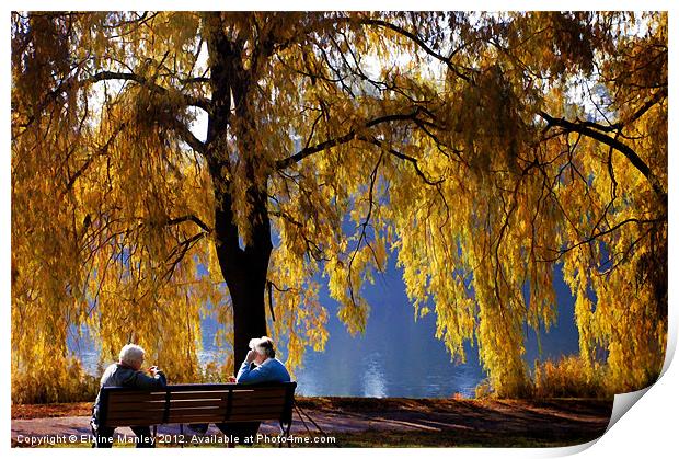 Golden Moments Print by Elaine Manley