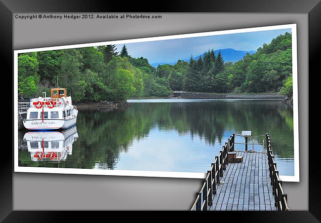 Reflections on the still water Framed Print by Anthony Hedger