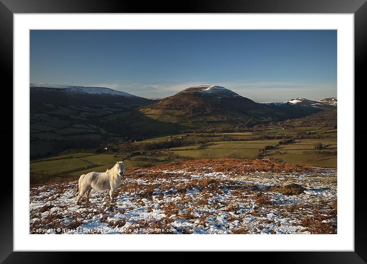 Mynydd Troed pony Framed Mounted Print by Creative Photography Wales