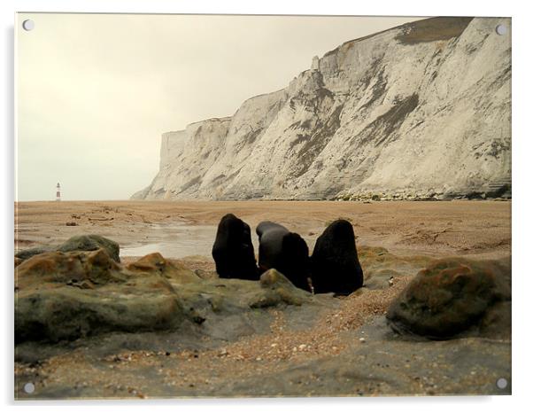 The Cliffs Acrylic by camera man