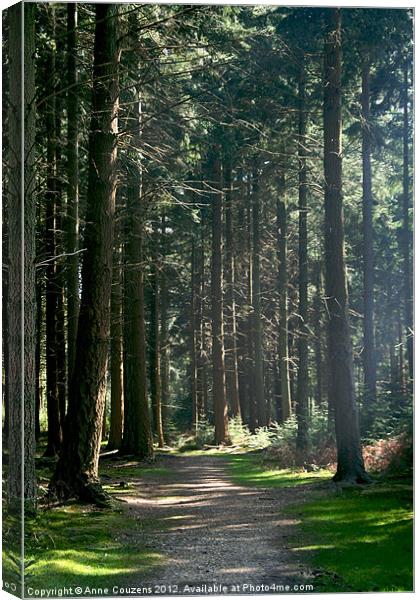 A walk in the woods Canvas Print by Anne Couzens