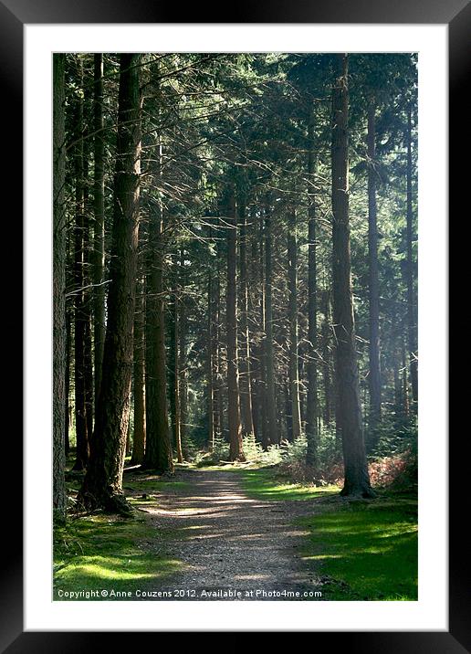 A walk in the woods Framed Mounted Print by Anne Couzens