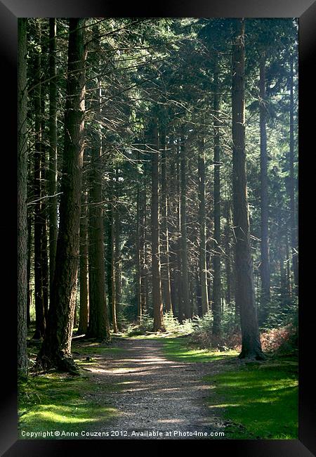 A walk in the woods Framed Print by Anne Couzens