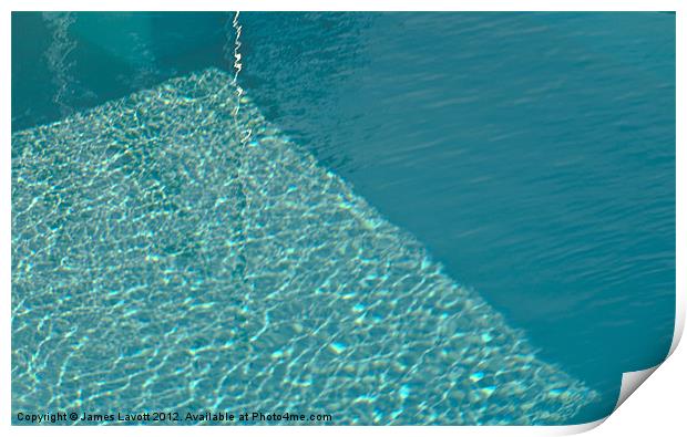 In The Pool Print by James Lavott