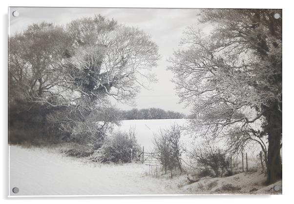 Snowy days Acrylic by Jay Ticehurst