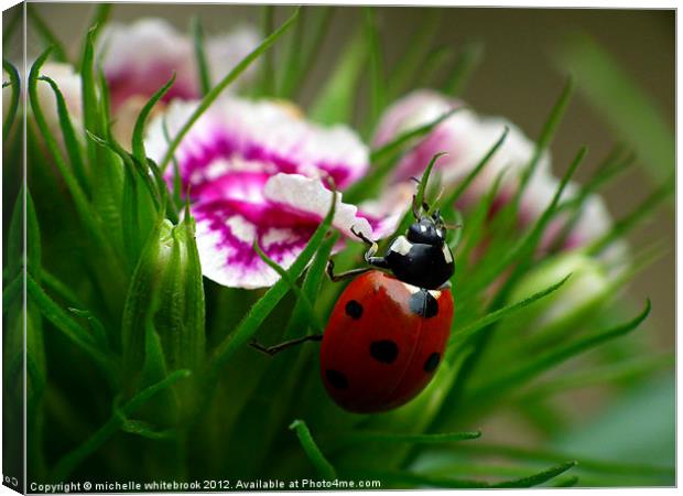 Nearly there Canvas Print by michelle whitebrook